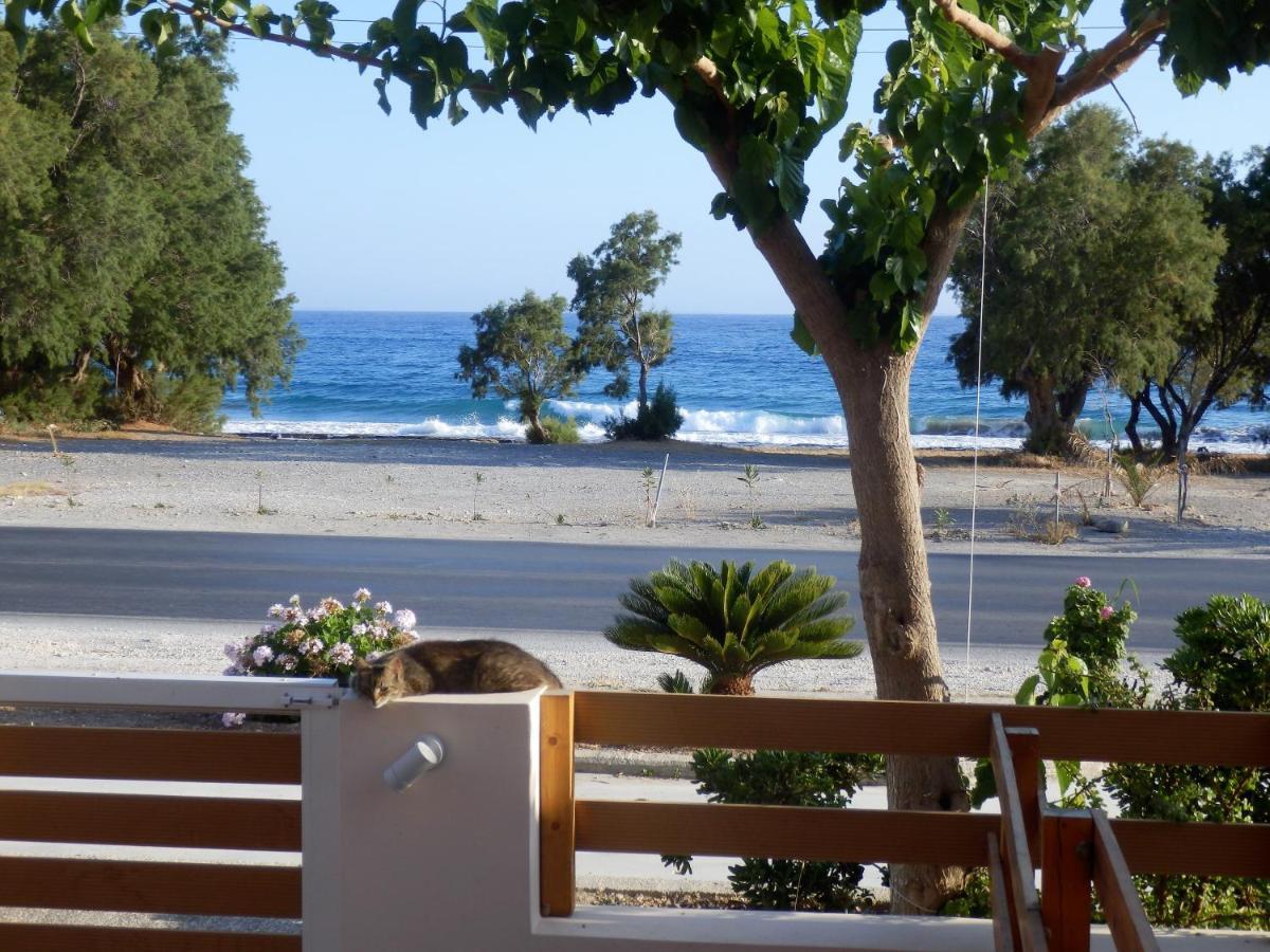 Votsalo Villa Ierápetra Dış mekan fotoğraf